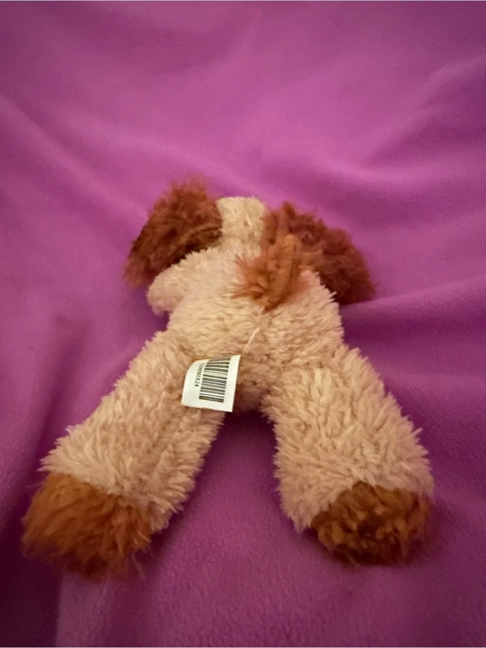 Plush Puppy
